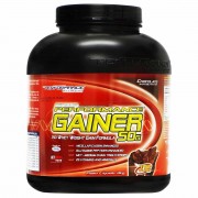 Serious Performance Gainer 3kg - Performance Nutrition